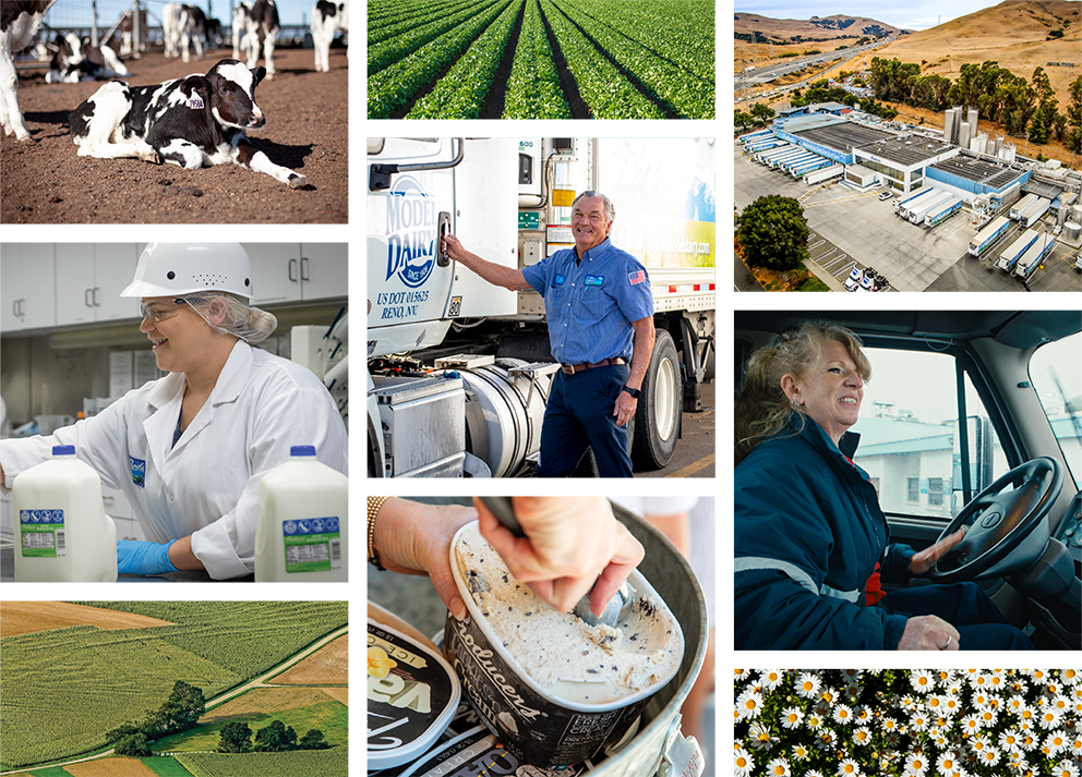 Shehadey Family Foods Team Photo Collage